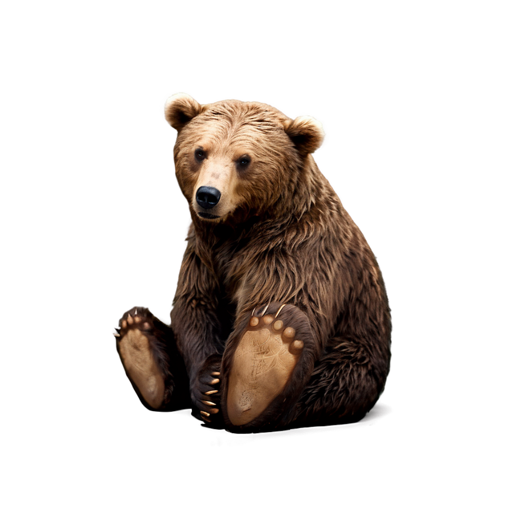 Charming Animated Bear Wallpaper on Soft Brown Background