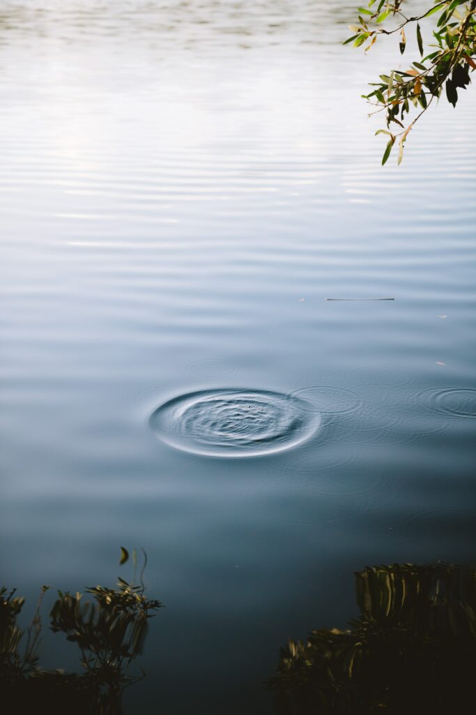 Calm lake with gentle ripples reflecting blue sky and soft greenery in peaceful nature wallpaper