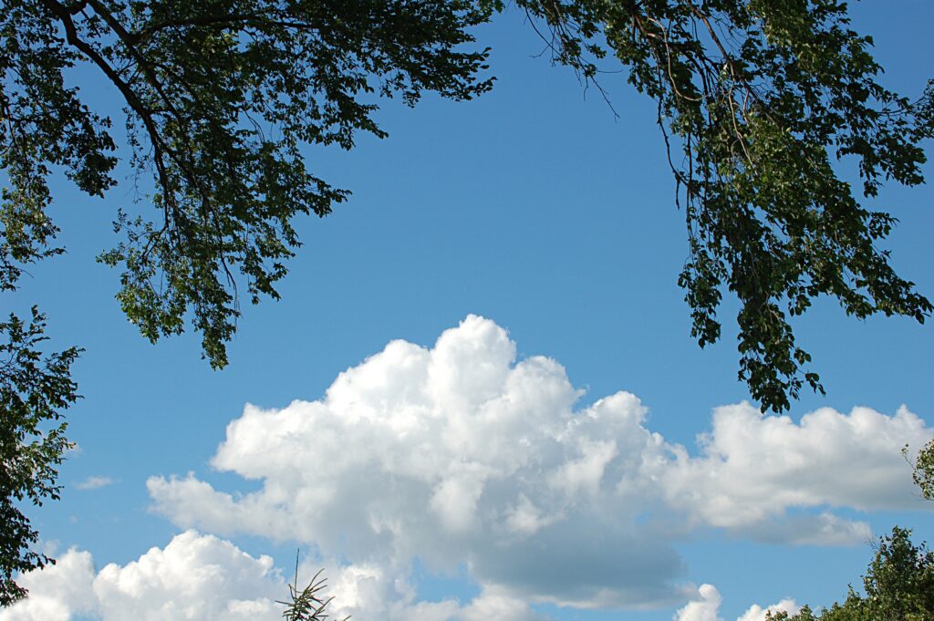 Vibrant blue sky with fluffy white clouds framed by green leafy branches nature wallpaper background