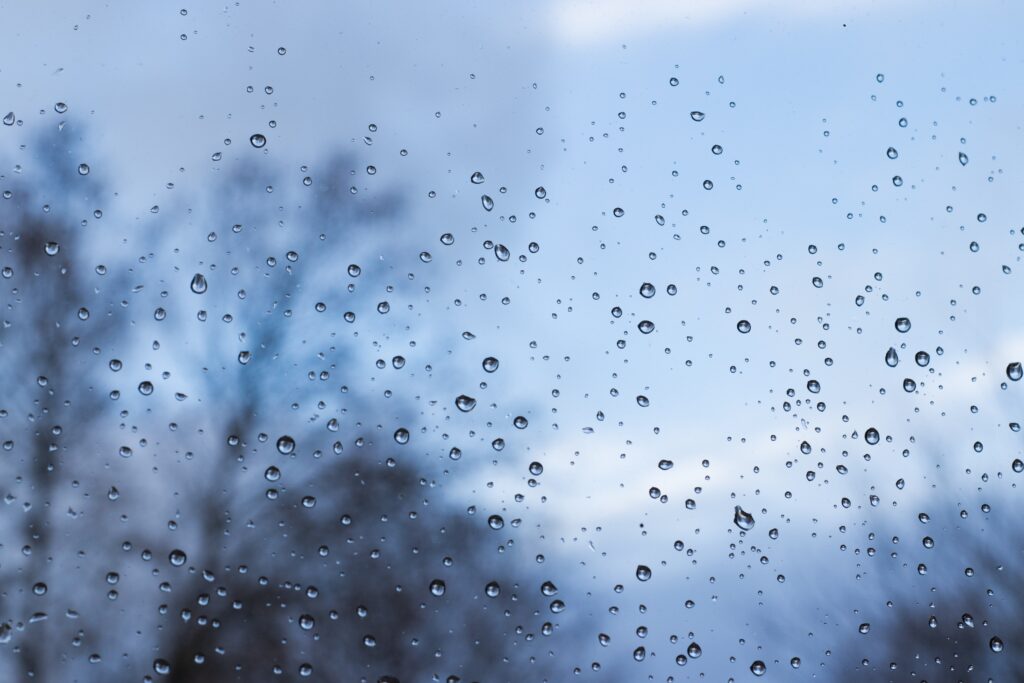 Calm Raindrop Wallpaper: Serene Glass Window with Blurred Trees