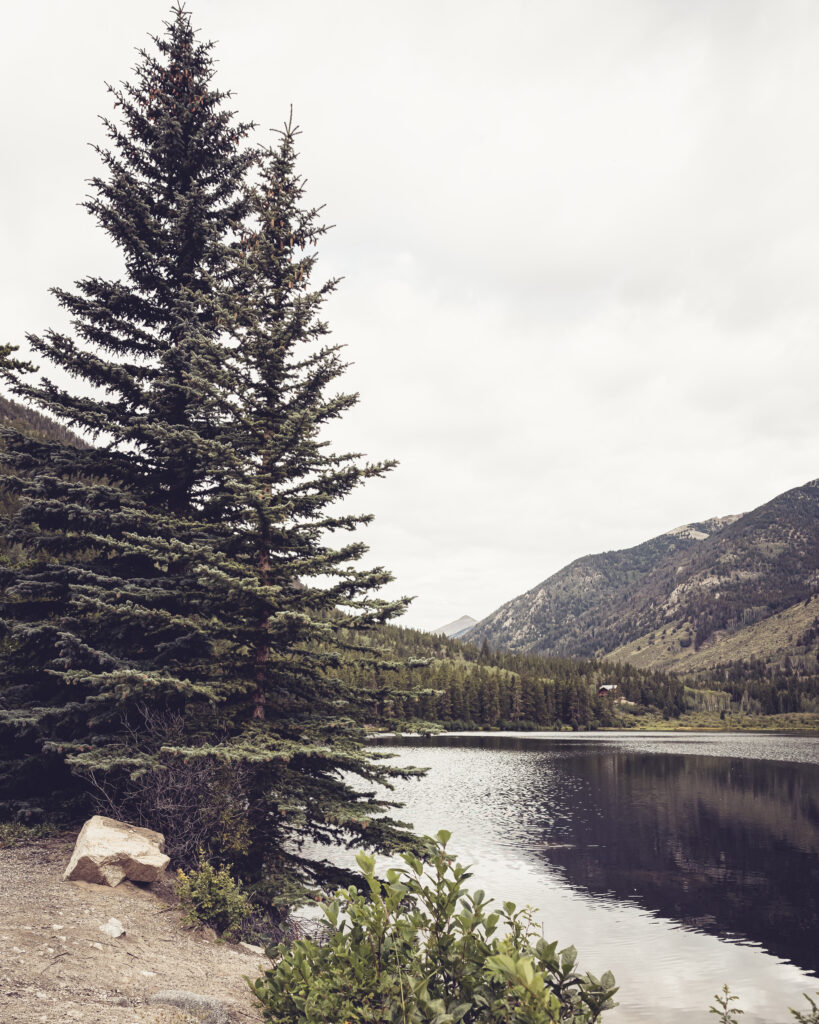 Calm river winding through lush forested coast and rolling green mountain hills under gray sky Wallpaper
