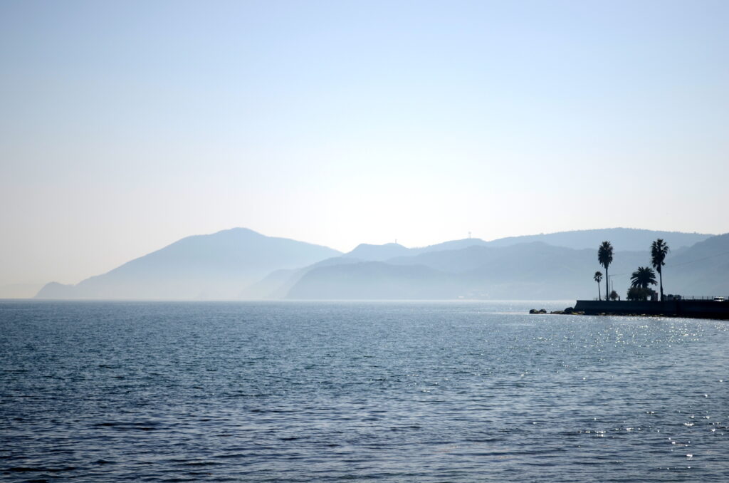 Calm sea with misty mountains and silhouetted palm trees in soft blue and grey tones wallpaper