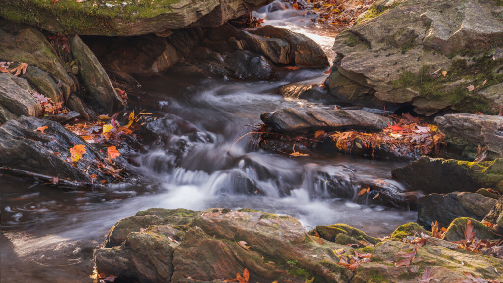 Serene river flowing over mossy stones with vibrant autumn leaves in tranquil forest wallpaper