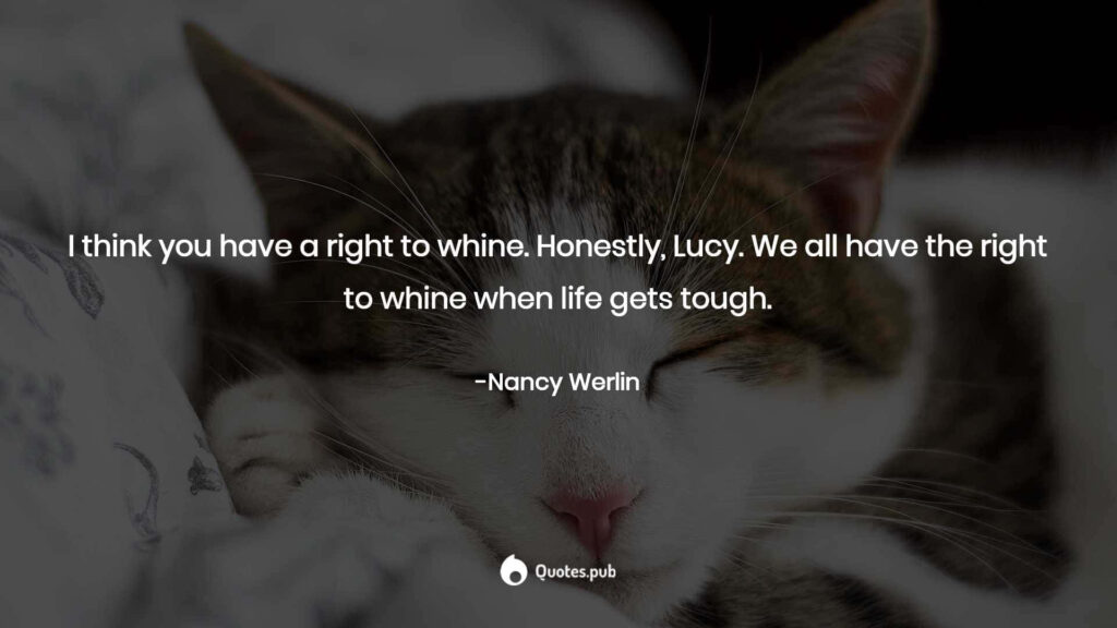 Calming Cat Wallpaper with Inspirational Quote by Nancy Werlin