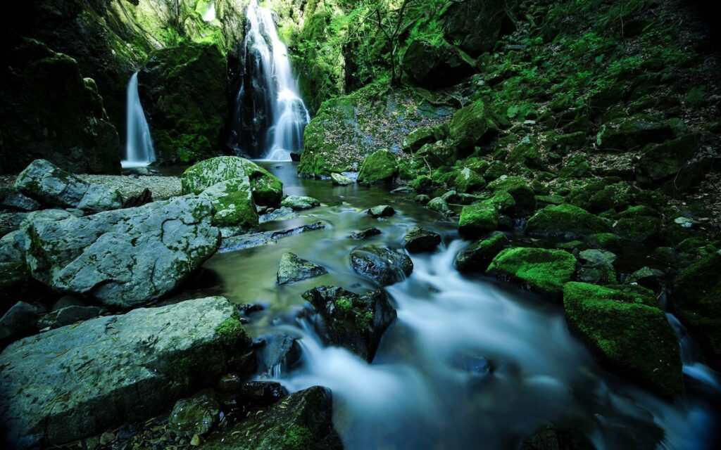 Serene waterfall cascading over mossy stones surrounded by lush green forest foliage wallpaper