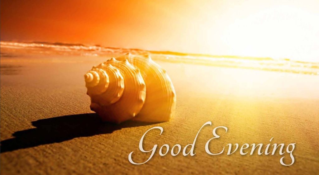 Good Evening shell wallpaper golden sand seashell sunset beach twilight serene background