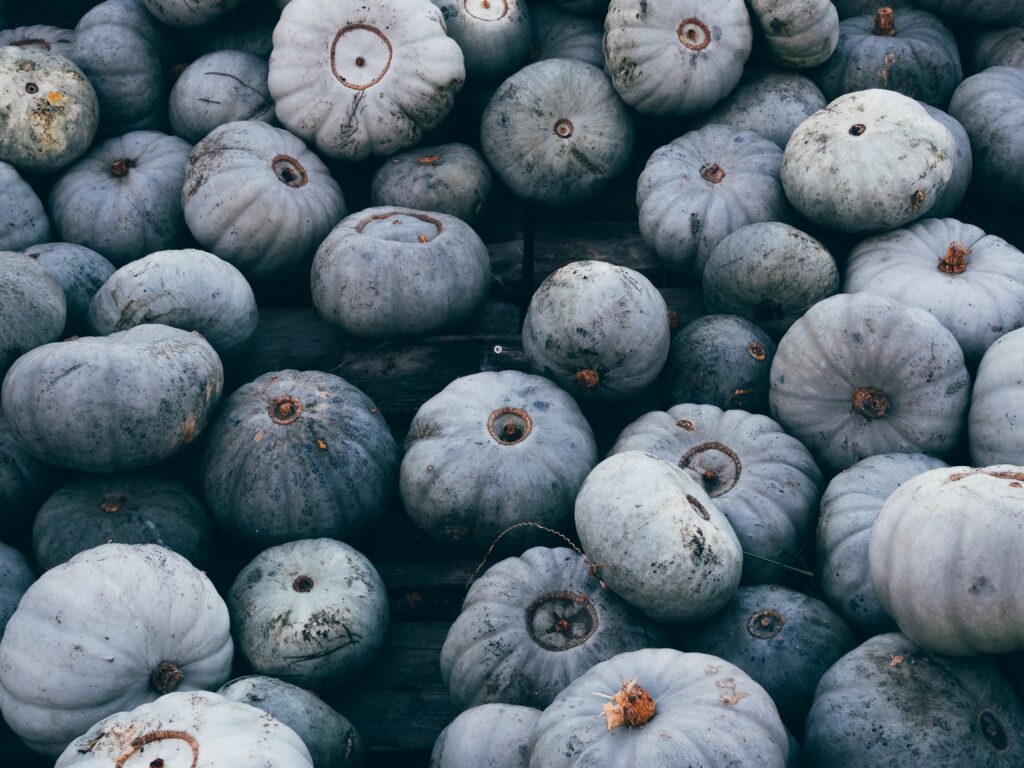 Autumn Harvest Wallpaper: Gray-toned Pumpkin Background