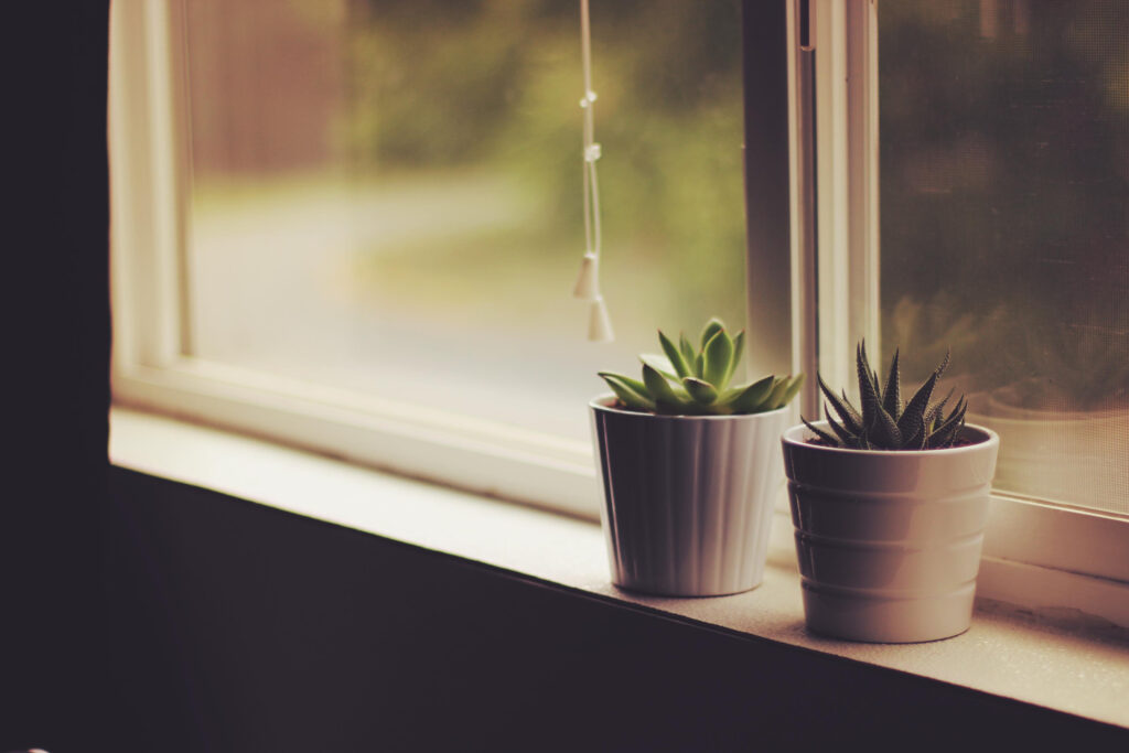 Calm Indoor Wallpaper: Small Potted Plants on Windowsill