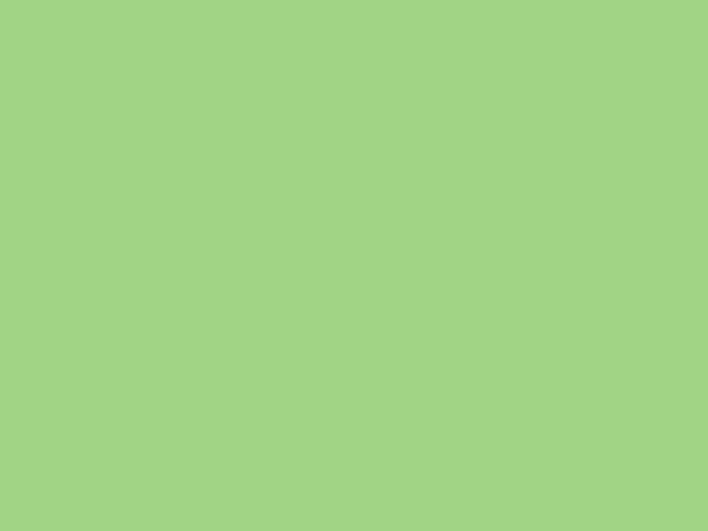 Solid light green background for calming Zoom calls video conferencing and digital design Wallpaper