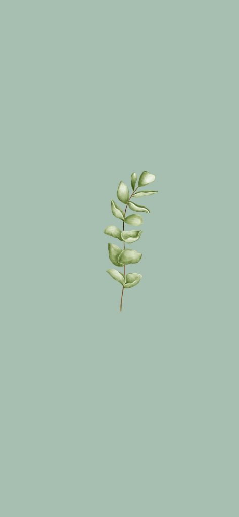 Minimalist botanical eucalyptus wallpaper in soft sage green with delicate hand-painted stem design