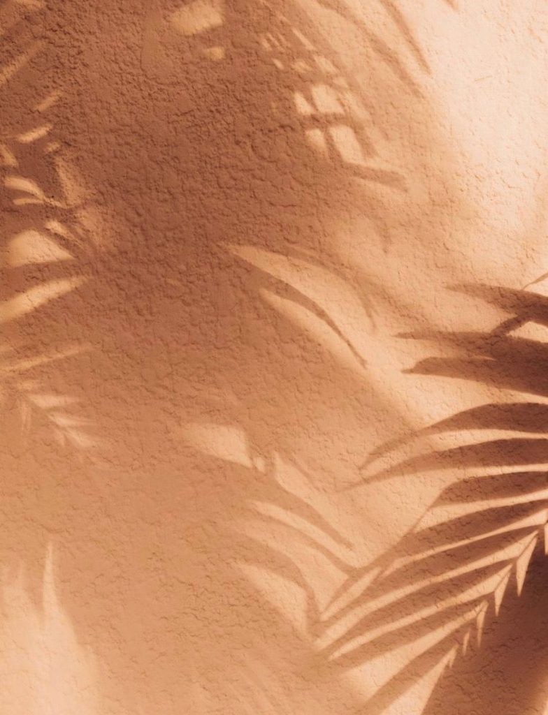 Tan wallpaper with soft palm leaf shadows on textured sandy wall creating calm atmosphere