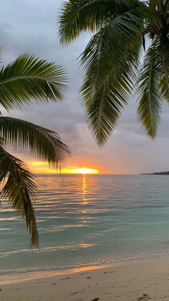 Serene Tropical Beach Sunset Wallpaper - Vibrant Paradise Background