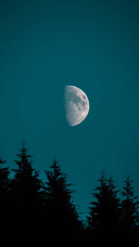 Serene Night Sky iPhone Wallpaper: Moonlit Tree Silhouette Background
