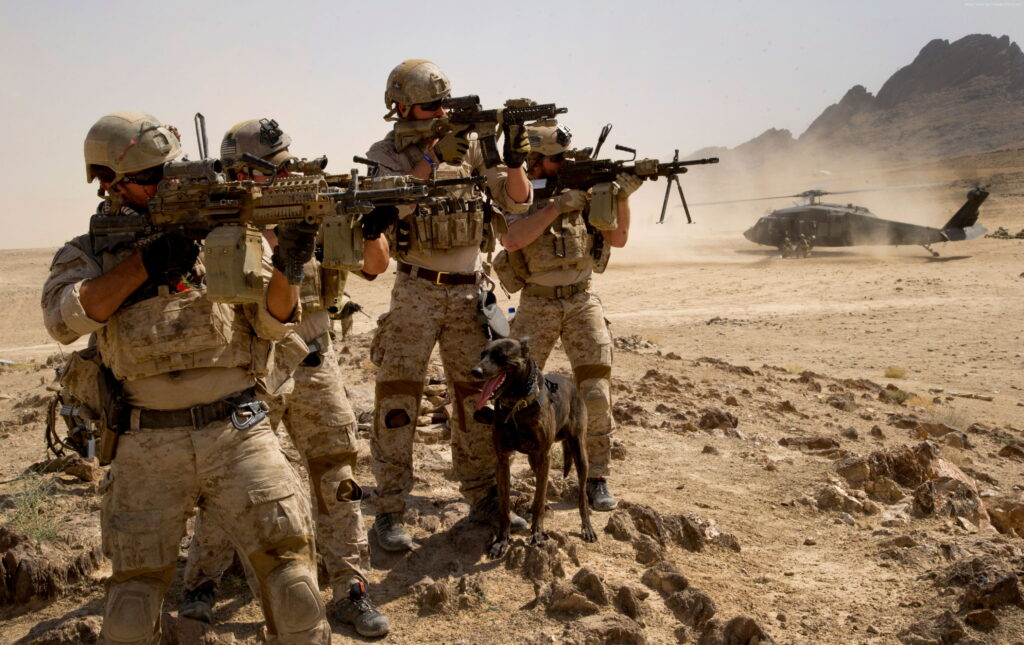 In the Field: A Soldier Equipped with Mk 14 and M16 Rifle, Captured in 4K Wallpaper Background Photo