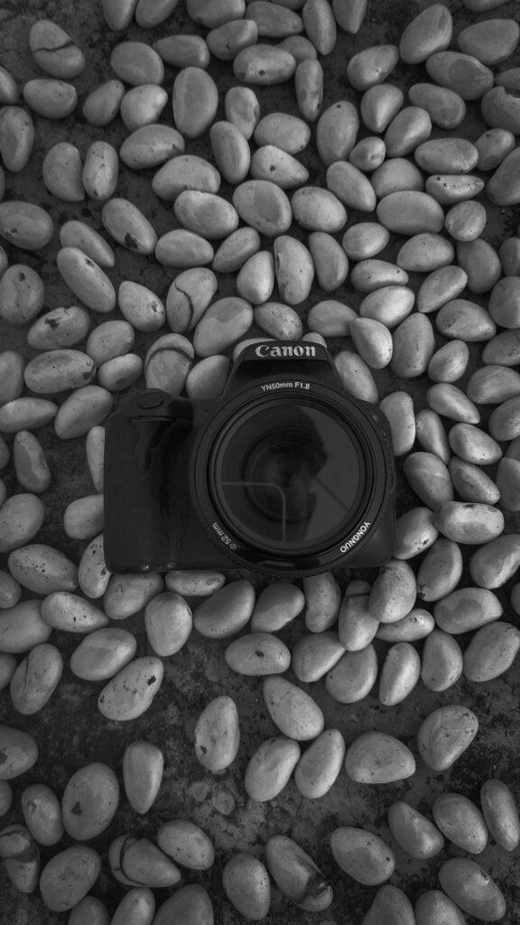 Canon DSLR Among Stones: Striking Monochrome Art Composition Wallpaper