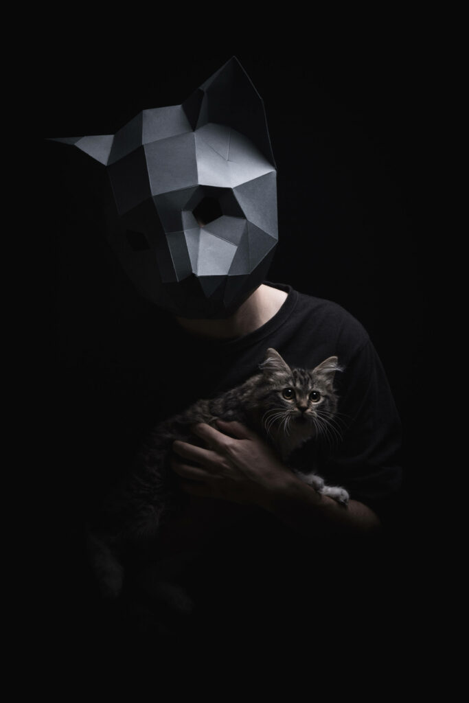 Mysterious 3D Low-Poly Cat Mask Wallpaper with Fluffy Kitten