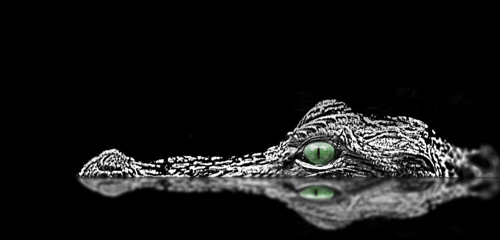 Alligator Close-Up: Vivid Green Eye & Scales in Dark Water Background Wallpaper