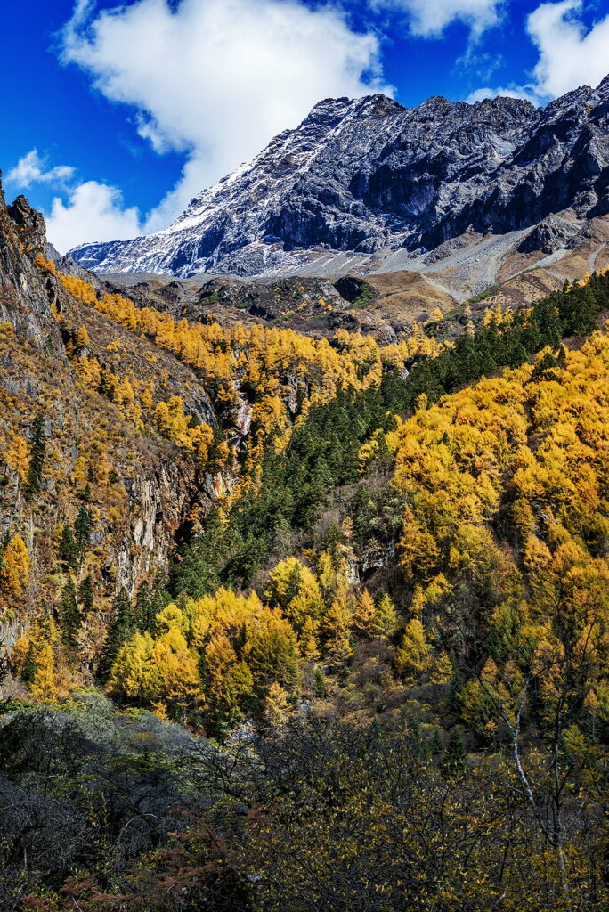Sichuan Serenity: Majestic Fall Mountainscape for HD Phone Wallpaper