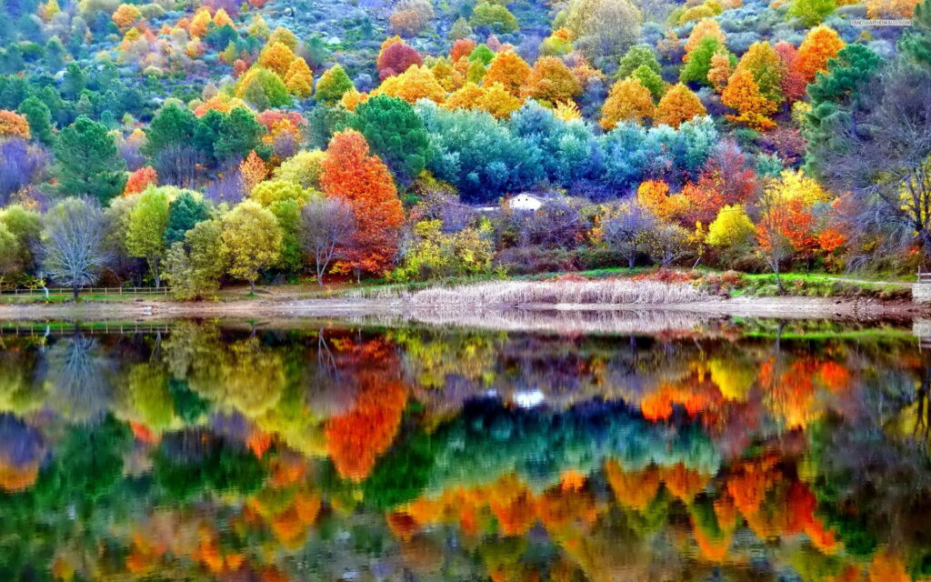Autumn hillside with colorful foliage reflecting in calm lake by a cozy lakeside house wallpaper