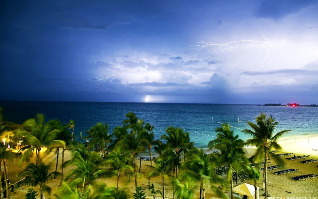 Serene Bahamas Beach Wallpaper: Crystal Waters & Palm Trees