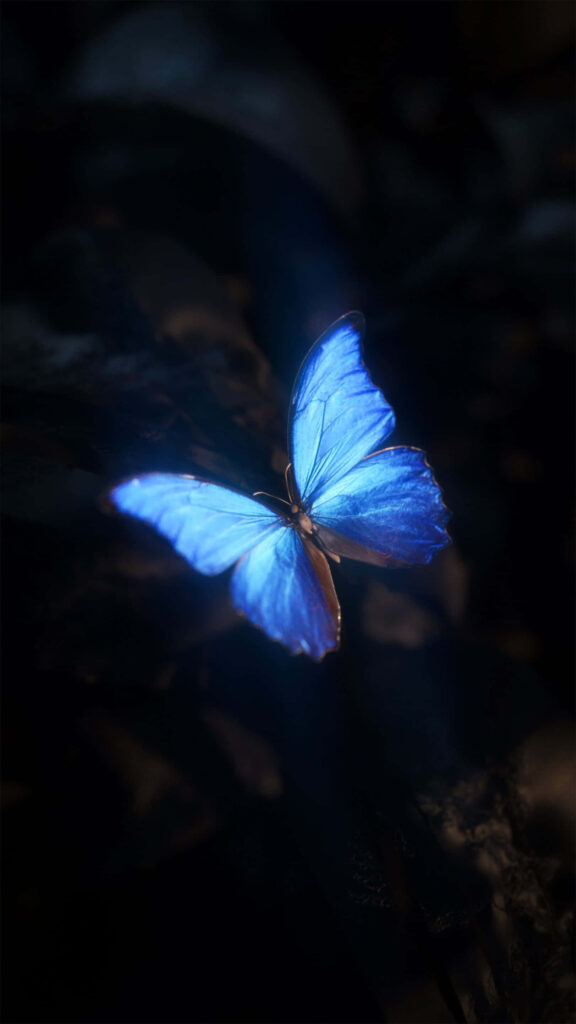 Luminous Blue Butterfly Wallpaper: Beauty & Transformation Art
