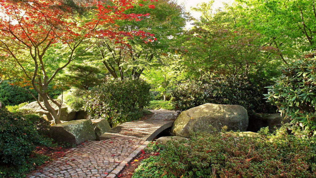 Lush Paradise: Captivating Botanical Haven in QHD Wallpaper