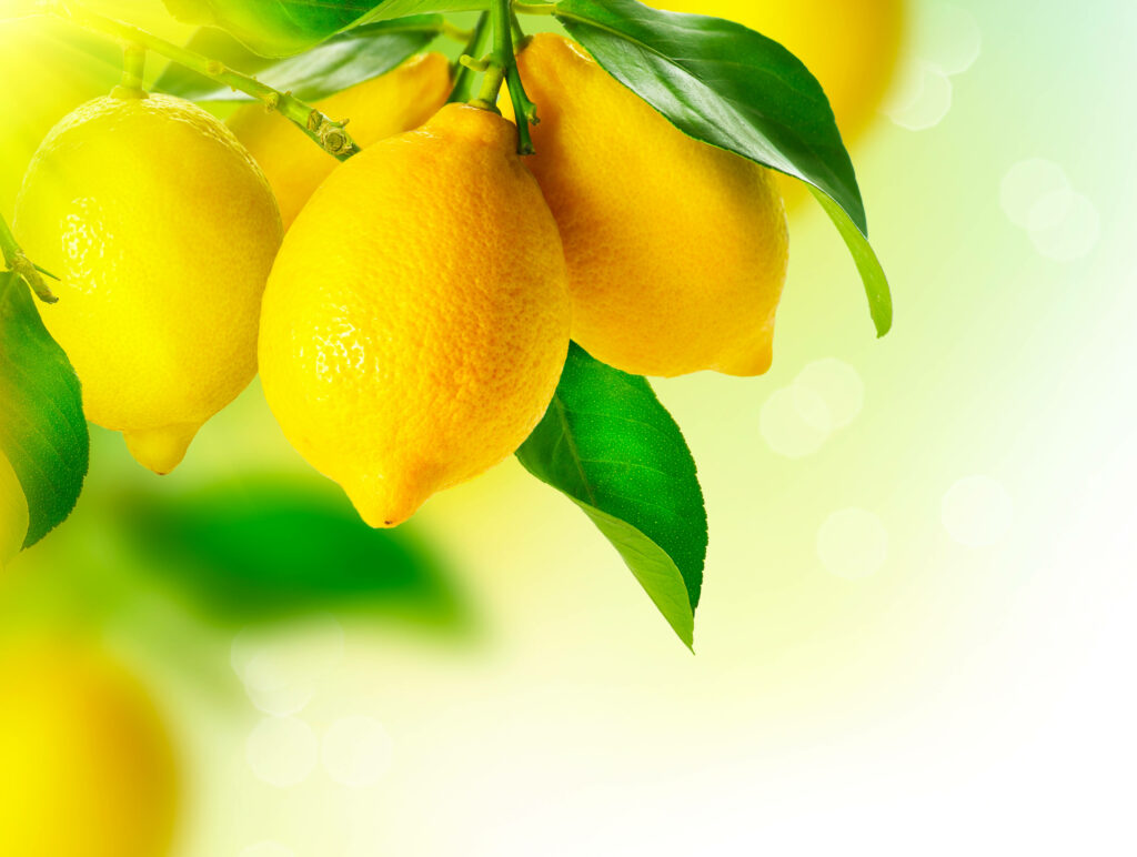 Captivating Close-Up: A Vibrant Lemon in High-Definition Wallpaper with Artistic Bokeh Background