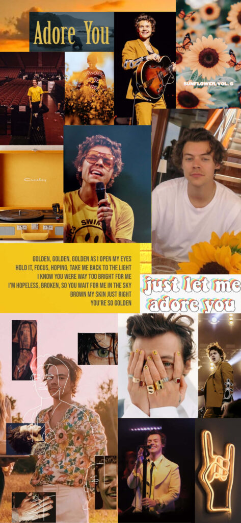 Harmonies of Harry Styles: Captivating Collage Spotlighting the Renowned English Singer and Songwriter's Journey in Music Wallpaper