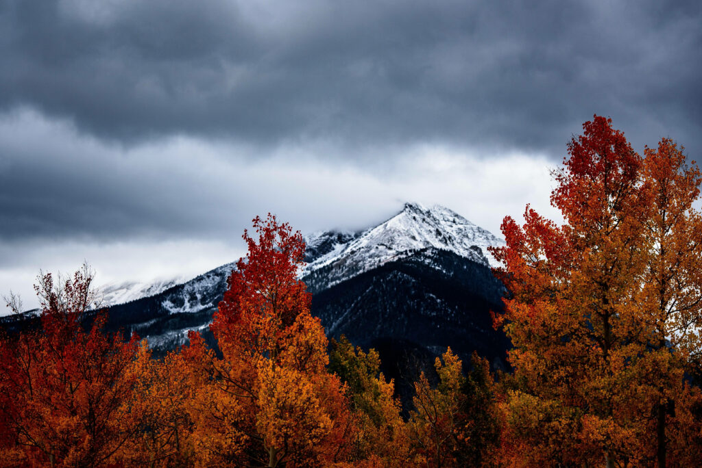 Awe-inspiring Colorado Landscape: Majestic Snow-capped Peaks Framed by Vibrant Orange Trees in a Picturesque Autumn Scene Wallpaper