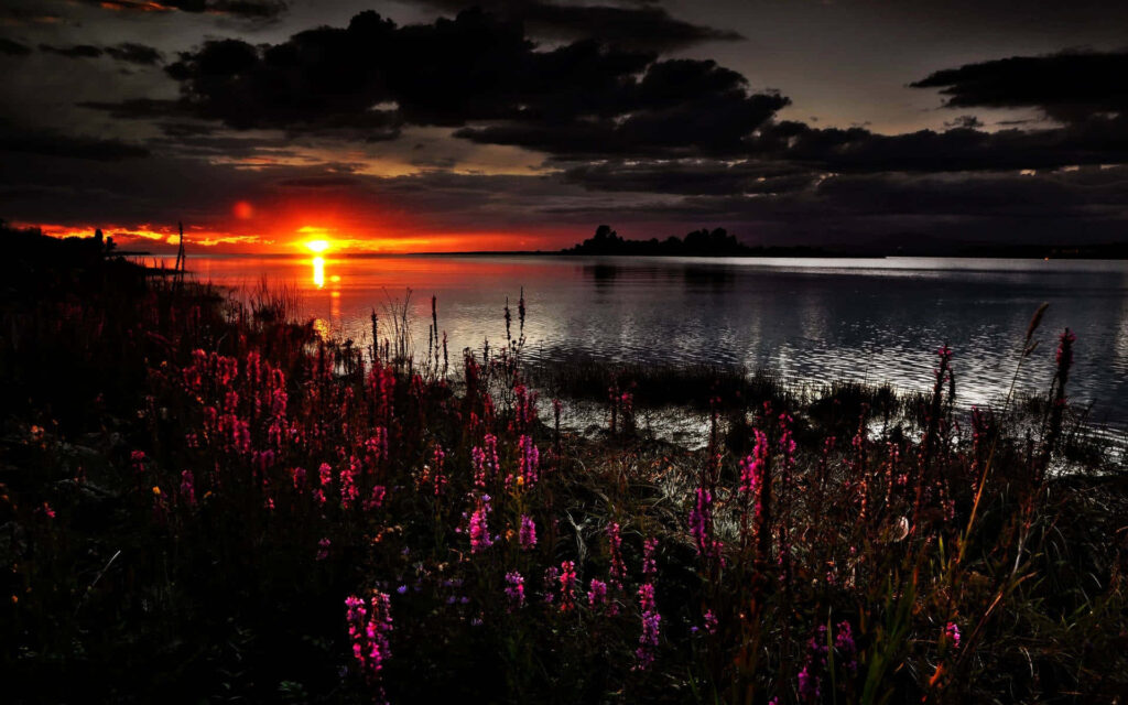 Serene Dark Spring Sunset Wallpaper Over Peaceful Riverbank