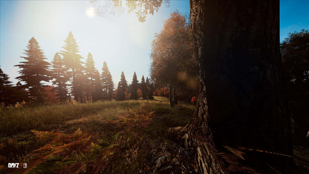 Natural Paradise in Dayz Epoch: An Immersive 1920x1080 Gaming Experience of Sun-drenched Forest Serenity Wallpaper