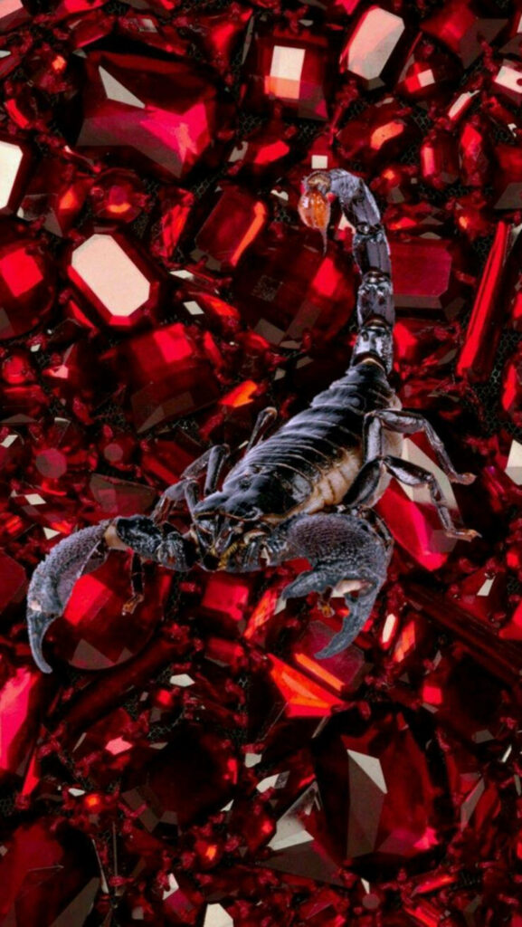 A Majestic Black Scorpion Amidst Radiant Crimson Gems Wallpaper