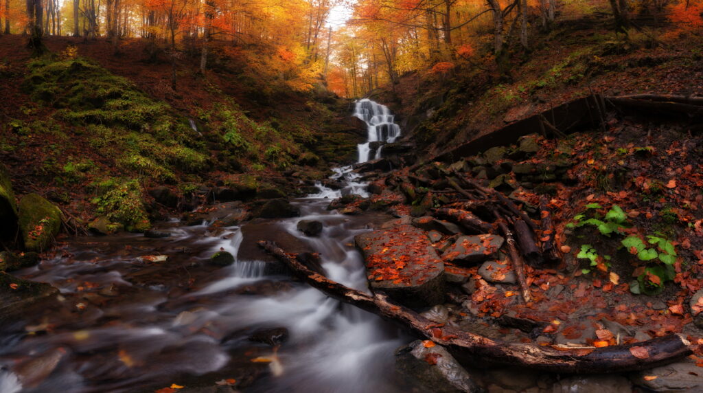 Vibrant Autumn Majesty: A stunning HD wallpaper showcasing the beauty of the fall season in a breathtaking landscape