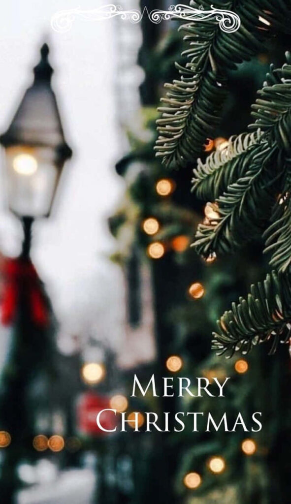 Festive Delights: A Captivating Christmas-themed Image Bringing Colorful Cheer and Holiday Bliss Wallpaper