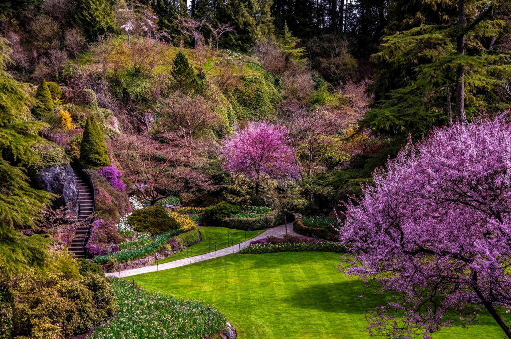 Enchanting Spring Blossoms: Captivating Garden Paradise with Lovely Stairs and Fragrant Scent Wallpaper