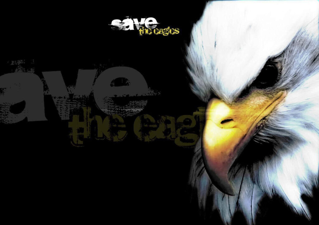 Majestic Golden Eagle Wallpaper: Save the Eagles Impact Design