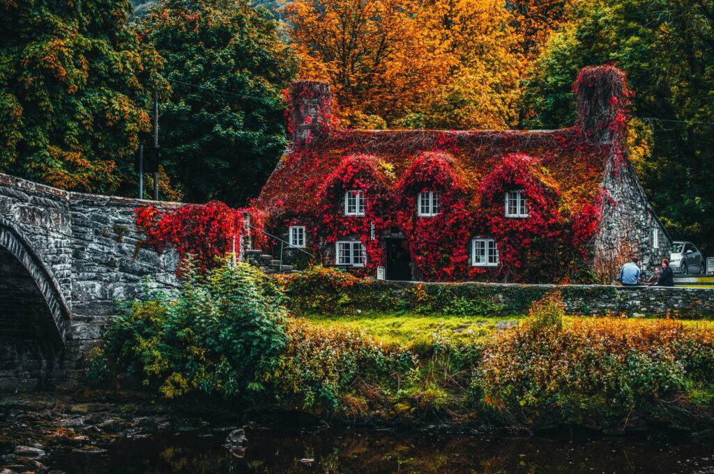 Enchanting Floral Haven: HD Wallpaper of Vibrant Red Flowers Adorning a House