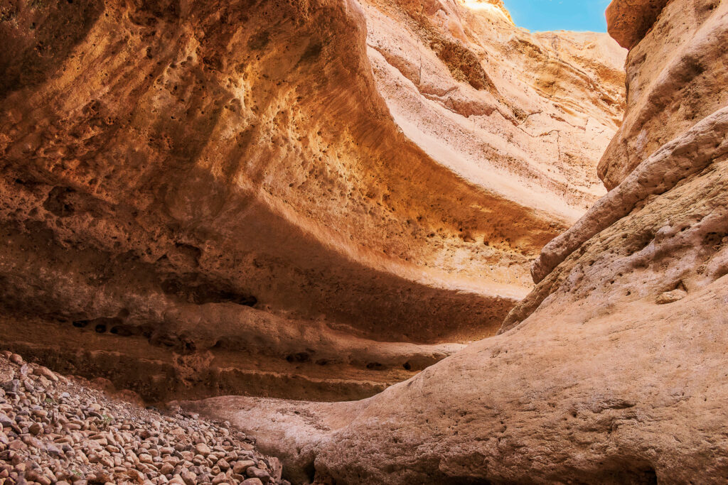 Majestic Desert Canyon View: A Breathtaking Mac 4K Background Wallpaper