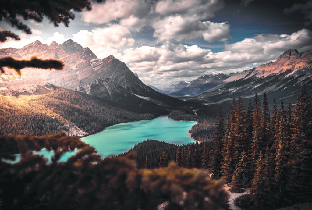 Vibrant turquoise Peyto Lake Banff National Park with evergreen forests and sunlit mountains Wallpaper