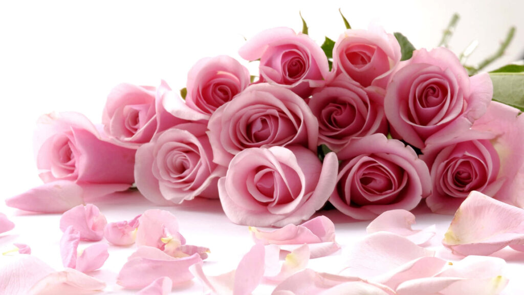 Delicate Pink Rose Bouquet Wallpaper on Soft White Background