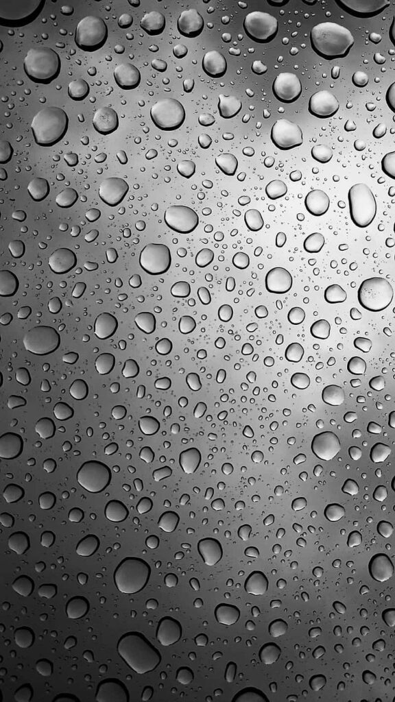 Monochromatic Raindrop Wallpaper: Intricate Patterns on Glass