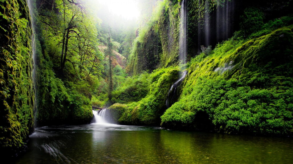 Lush mossy canyon with cascading waterfalls over crystal clear pool in Oregon Columbia Gorge Wallpaper