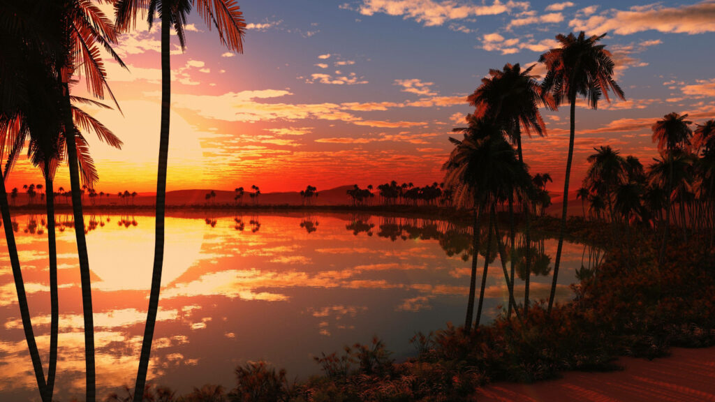 Captivating Sunset on a Beautiful HD Background - A Serene Tropical Beach Photo Wallpaper