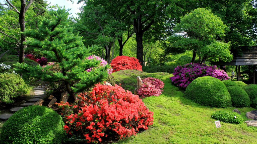 Paradise Found: Captivating QHD Wallpaper of the World's Most Beautiful Natural Garden
