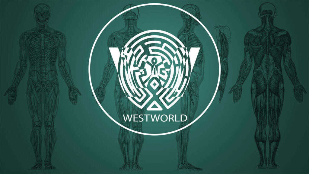 Westworld Logo Wallpaper: Human Anatomy on Green Background