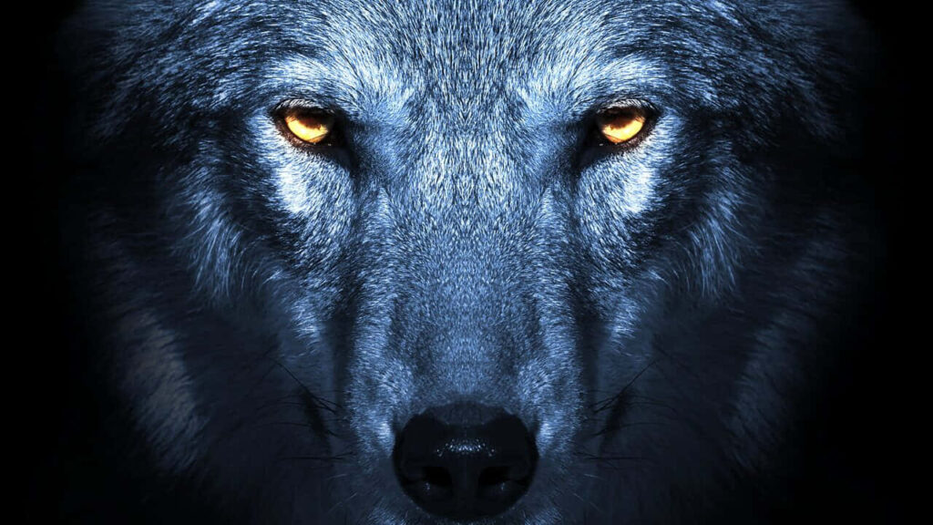 Captivating Wolf Eyes Wallpaper: Intense Glow on Dark Background