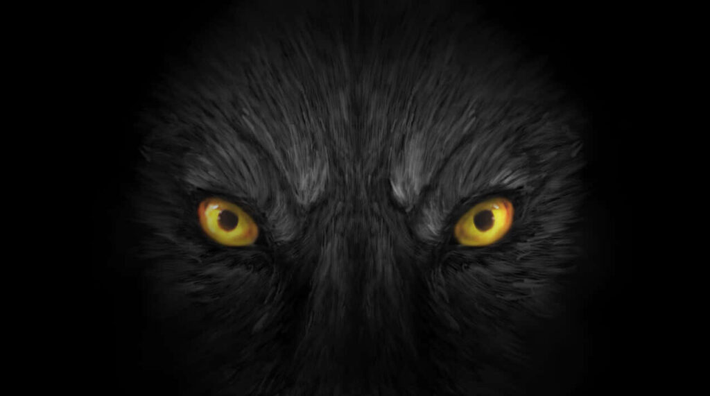 Captivating Wolf Wallpaper: Intense Yellow Eyes in Shadowy Background