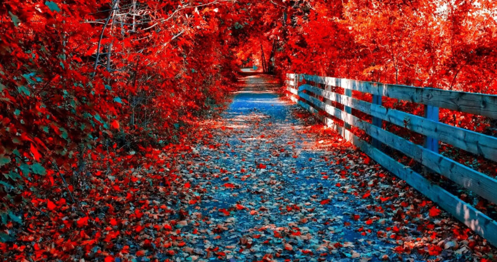 Cosy Fall Vibes: A Captivating Autumnal Masterpiece in 4096 X 2160! Wallpaper