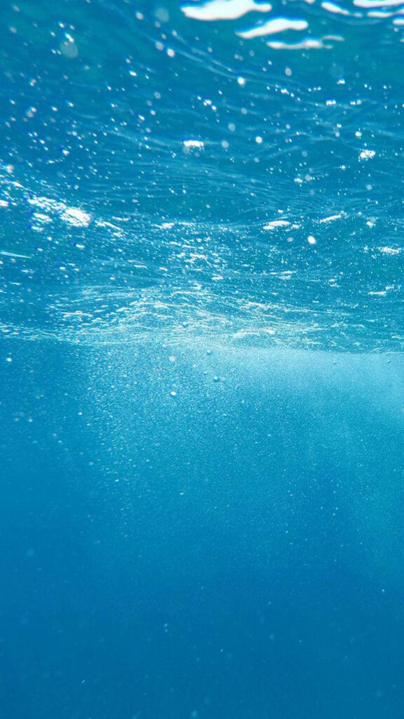 Melodic Ripples: Enchanting iPhone SE Background Immersed in Tranquil Waters Wallpaper