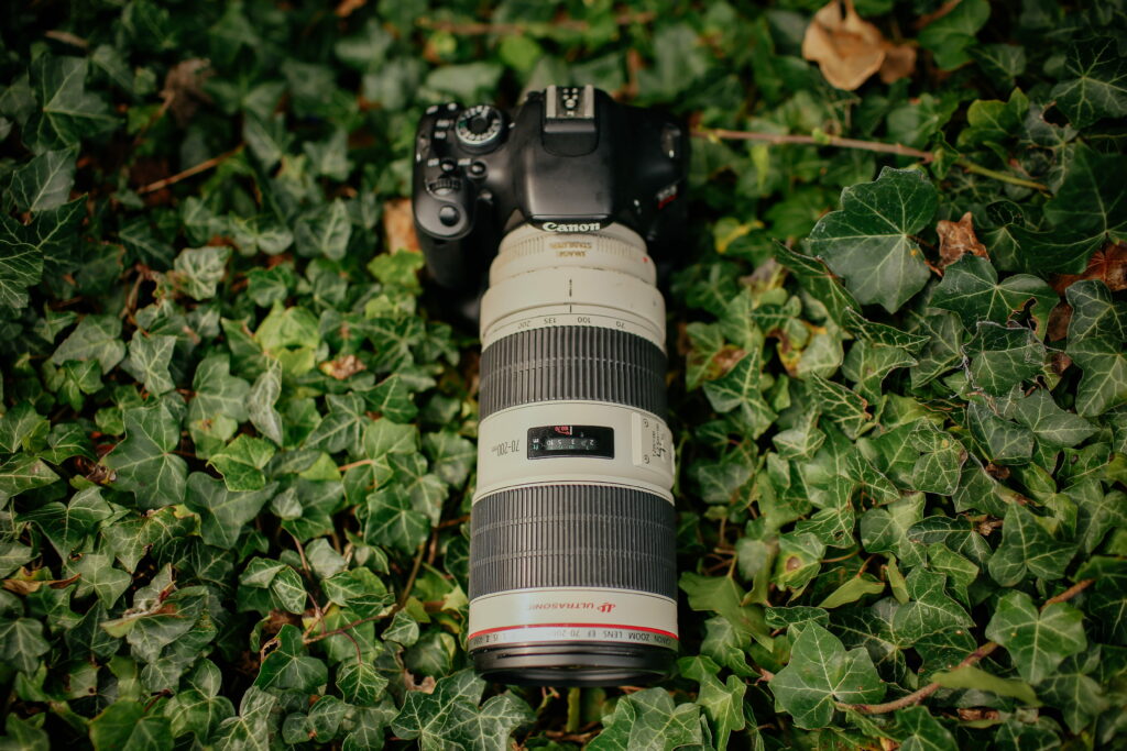 Contrasting Hues: Black and Gray Canon DSLR Camera Capturing the Essence of Nature on Vibrant Green Plant – Stunning 5K Wallpaper